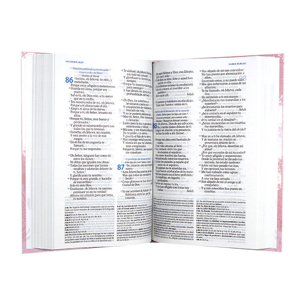 Biblia de Estudio Perdón y Restauración Reina Valera 1960 Mediana Letra Mediana Tapa Dura Rosa [RVR063EELGPJR] 