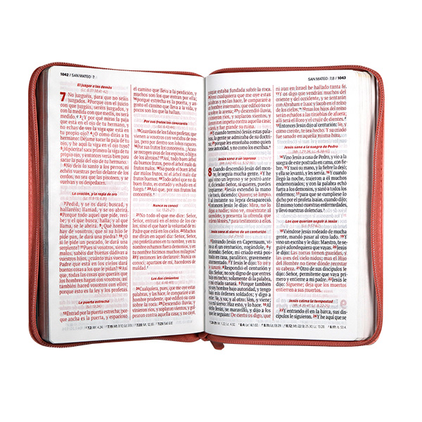 Biblia El Camino La Verdad y La Vida Reina Valera 1960 Mediana Letra Grande Imitación Piel Rosa Código QR [RVR066LGZPJR] 