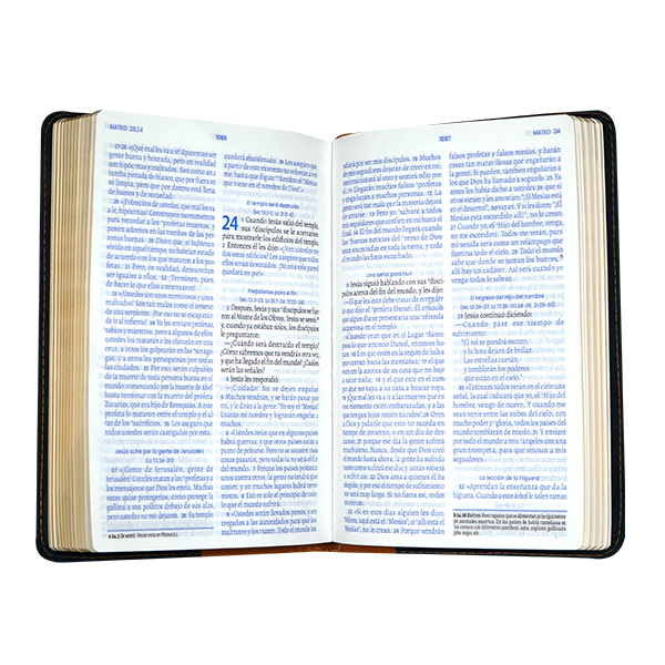 Biblia Traducción Lenguaje Actual Mediana Letra Grande Imitación piel Azul oscuro Cafe [TLA066LGPJR] 