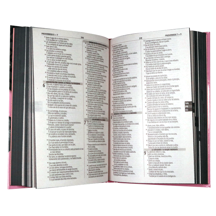 Biblia Fuente de Bendiciones Reina Valera 1960 Mediana Letra Mediana Tapa Dura Jóvenes Rosa [RVR.63uecFBPJr] 