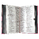 Biblia Fuente de Bendiciones Reina Valera 1960 Mediana Letra Mediana Tapa Dura Jóvenes Rosa [RVR.63uecFBPJr] 