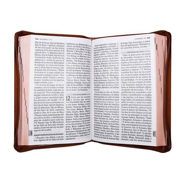 Biblia Reina Valera 1960 Mediana Letra Grande Imitación Piel Café Código QR [RVR066LGZPJR] 