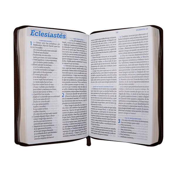Biblia El Camino La Verdad y La Vida Traducción Lenguaje Actual Mediana Letra Grande Imitación Piel Beige [TLA066ZLGPJR] 