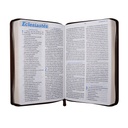 Biblia El Camino La Verdad y La Vida Traducción Lenguaje Actual Mediana Letra Grande Imitación Piel Beige [TLA066ZLGPJR] 