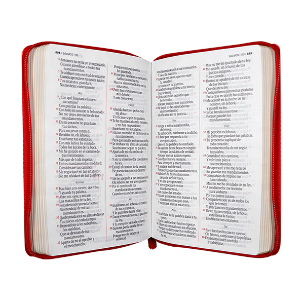 Biblia Reina Valera 1960 Mediana Letra Grande Imitación Piel Rojo [RVR066LGZPJR] 
