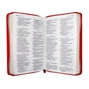Biblia Reina Valera 1960 Mediana Letra Grande Imitación Piel Rojo [RVR066LGZPJR] 