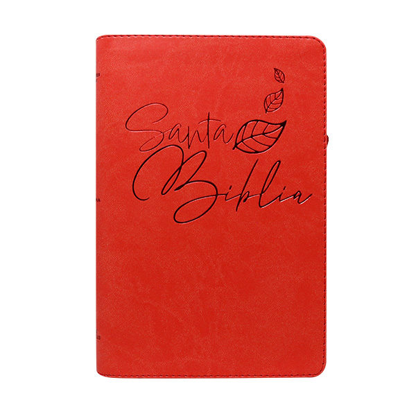 Biblia Reina Valera 1960 Mediana Letra Grande Imitación Piel Rojo [RVR066LGZPJR] 