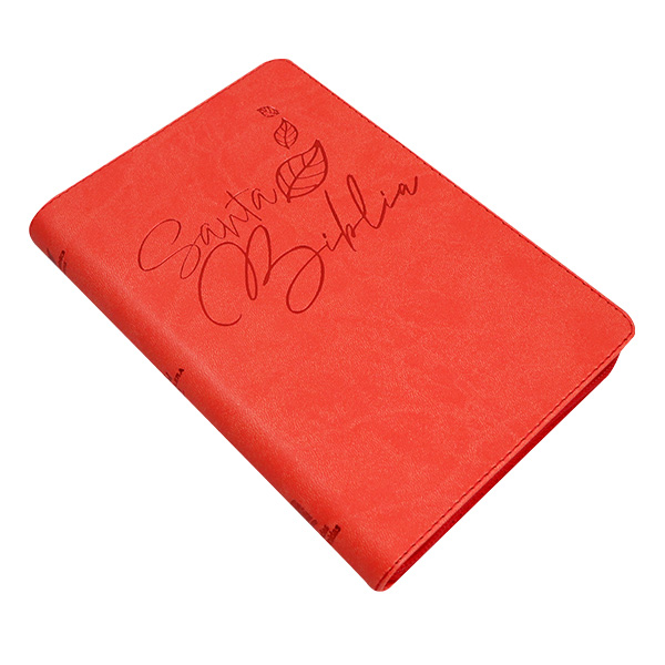 Biblia Reina Valera 1960 Mediana Letra Grande Imitación Piel Rojo [RVR066LGZPJR] 