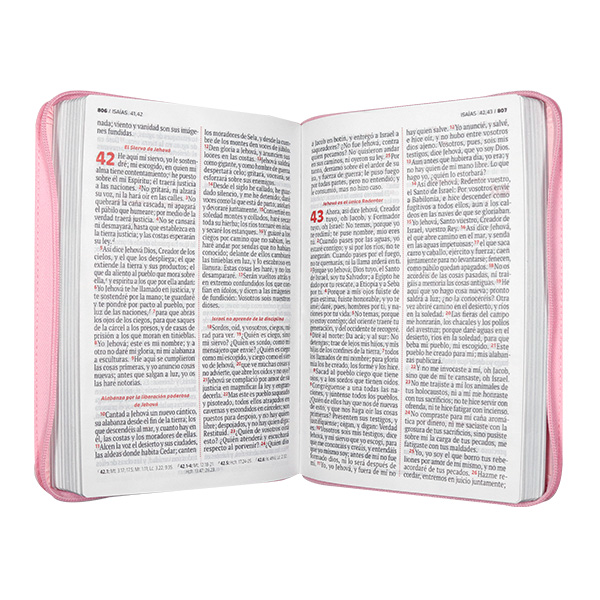 Biblia Reina Valera 1960 Mediana Letra Grande Imitación Piel Rosa Pastel [RVR066LGZPJR] 