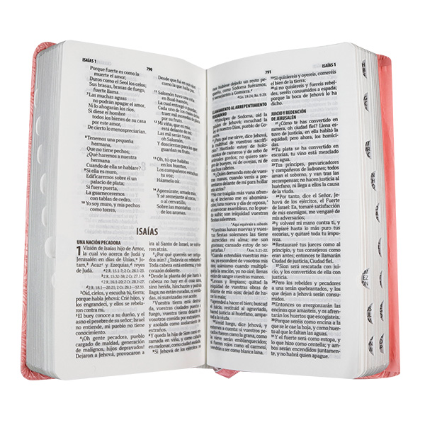 Biblia Reina Valera 1960 Agenda Letra Chica Imitación Piel Rosa [RVR036cTI]