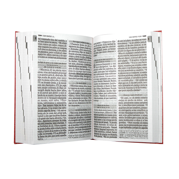Biblia Reina Valera 1960 Mediana Letra Grande Tapa dura Rosa QR [RVR062LGPJR] 