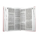 Biblia Reina Valera 1960 Mediana Letra Grande Tapa dura Rosa QR [RVR062LGPJR] 