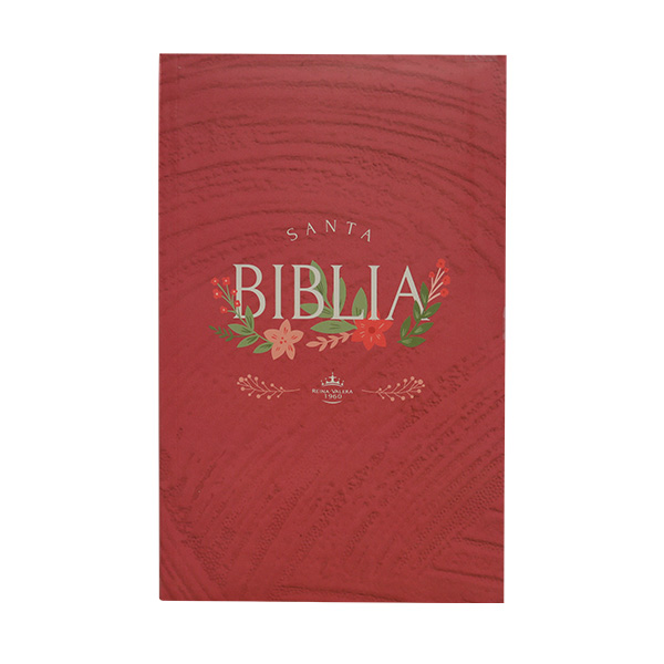 Biblia Reina Valera 1960 Mediana Letra Grande Tapa dura Rosa QR [RVR062LGPJR] 