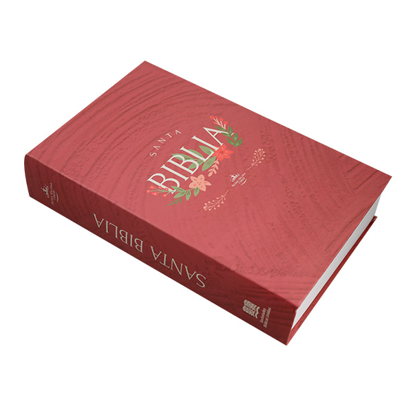 Biblia Reina Valera 1960 Mediana Letra Grande Tapa dura Rosa QR [RVR062LGPJR] 
