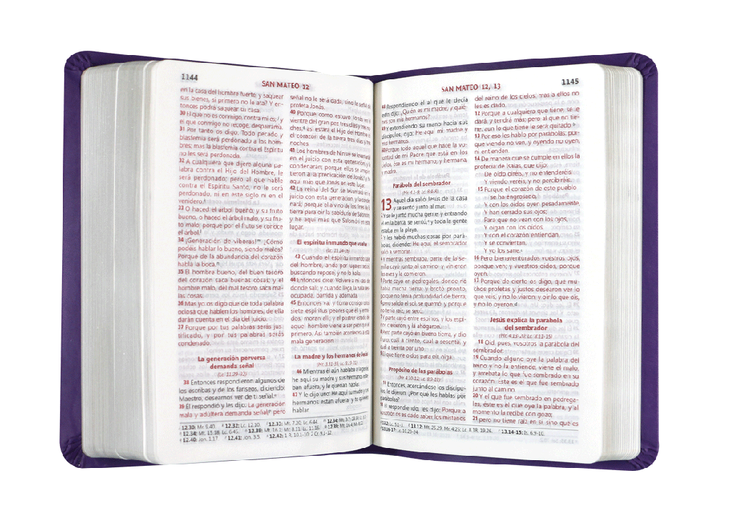 Biblia Reina Valera 1960 Chica Letra Mediana Letra Grande Imitación Piel Púrpura [RVR045cLGPJRMDM]