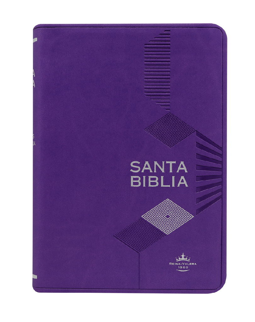 Biblia Reina Valera 1960 Chica Letra Mediana Letra Grande Imitación Piel Púrpura [RVR045cLGPJRMDM]