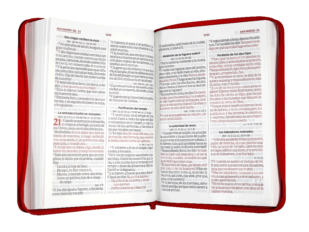 Biblia Reina Valera 1960 Grande Letra Gigante Imitación Piel Vino tinto Código QR [RVR086cZTILGiPJR]