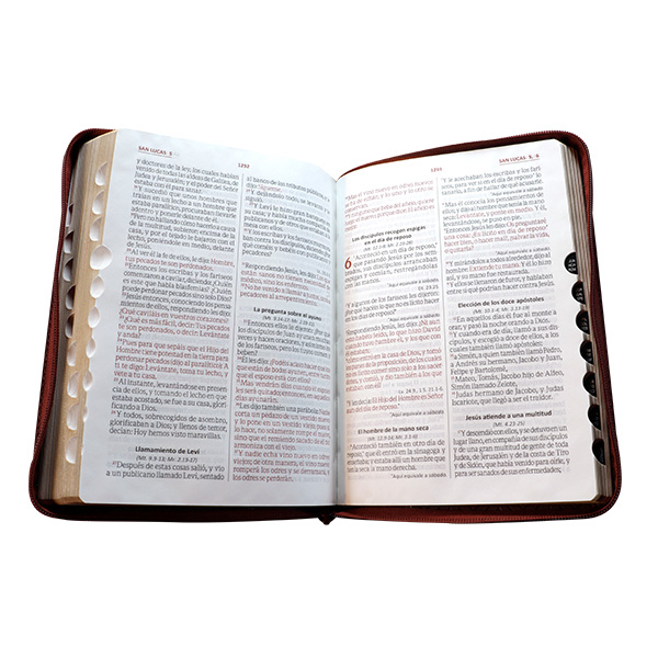 Biblia Reina Valera 1960 Grande Letra Gigante Imitación Piel Vino tinto Código QR [RVR086cZTILGiPJR]