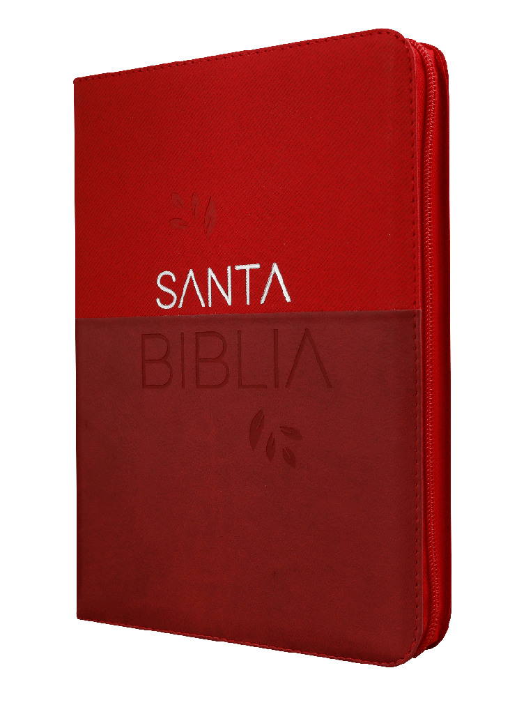 Biblia Reina Valera 1960 Grande Letra Gigante Imitación Piel Vino tinto Código QR [RVR086cZTILGiPJR]