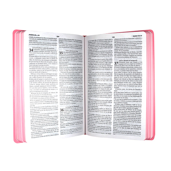 Biblia Reina Valera 1960 Mediana Letra Mediana Imitación Piel Rosa Ultrafina [RVR065e]
