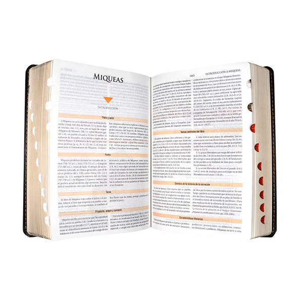 Biblia de Estudio Teológico Reina Valera 1960 Mediana Letra Mediana Imitación piel Negro [RVR066cEETI-BET]