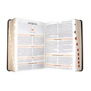 Biblia de Estudio Teológico Reina Valera 1960 Mediana Letra Mediana Imitación piel Negro [RVR066cEETI-BET]