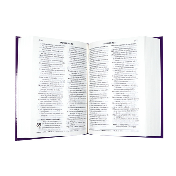 Biblia Reina Valera 1960 Chica Letra Mediana DR Tapa Dura Purpura [RVR043cLG]