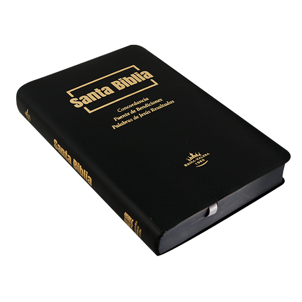 Biblia Fuente de Bendiciones Reina Valera 1960 Mediana Letra Mediana Imitación Piel Negro [RVR.65uecFBPJR]