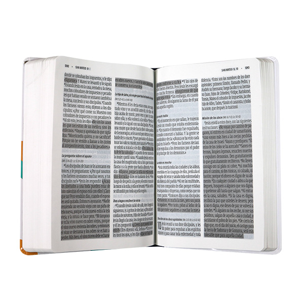 Biblia Reina Valera Contemporánea Mediana Letra Gigante Tapa Dura Colores [RVC.63cLGiPJR]
