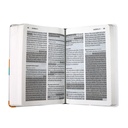 Biblia Reina Valera Contemporánea Mediana Letra Gigante Tapa Dura Colores [RVC.63cLGiPJR]