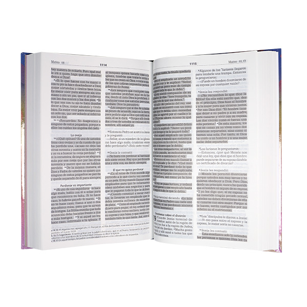 Biblia de Estudio Avivemos Traducción Lenguaje Actual Mediana Letra Grande Tapa Dura Colores [TLA063CTPJR]