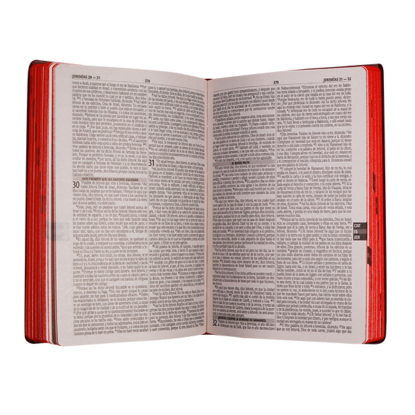 Biblia Fuente de Bendiciones Reina Valera 1960 Mediana Letra Mediana Imitación Piel Vino [RVR.65uecFBPJR]