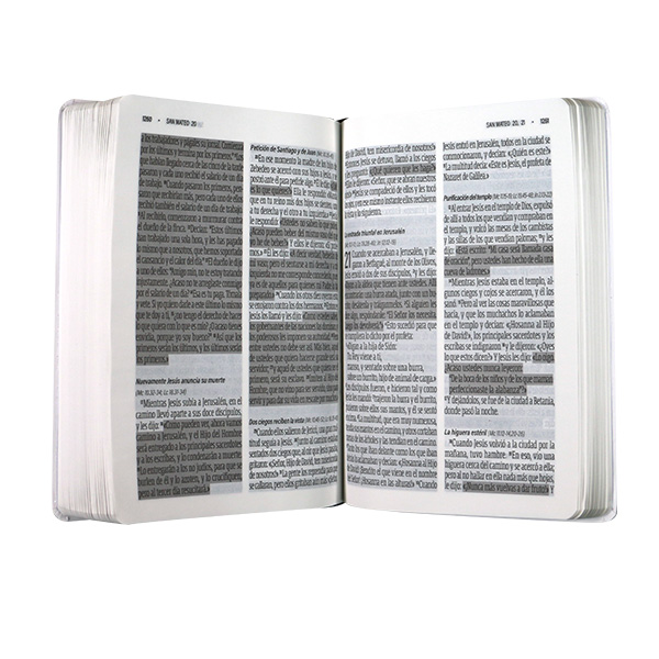 Biblia Reina Valera Contemporánea Mediana Letra Gigante Tapa Semiflexible Colores [RVC.61cLGiPJR]