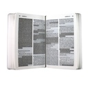 Biblia Reina Valera Contemporánea Mediana Letra Gigante Tapa Semiflexible Colores [RVC.61cLGiPJR]