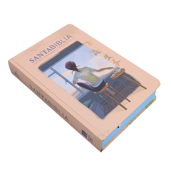 Biblia Reina Valera 1960 Mediana Letra Grande MAYUSCULA Tapa dura Mujer [RVR.063cLGPJR-MAY] 