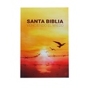 Biblia Misionera Reina Valera 1960 Venciendo el miedo Mediana Letra Mediana Rústica [RVR.60uecFBPJR]