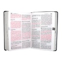 Biblia Reina Valera 1960 Mediana Letra Grande PVC [RVR.062cLGPJR] 