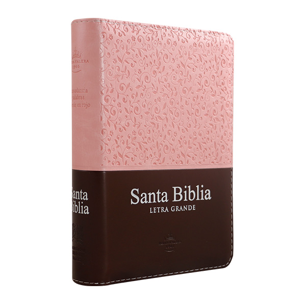 Biblia Reina Valera 1960 Mediana Letra Super Gigante Imitación Piel Rosa/Marrón Quinceañera [RVR046cLGPJRZTI] 