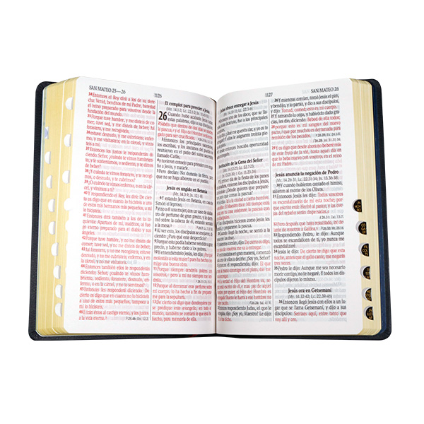 Biblia Ser Discípulo Reina Valera 1960 Mediana Letra Grande Imitación Piel Azul [RVR066cLGPJRTI]  