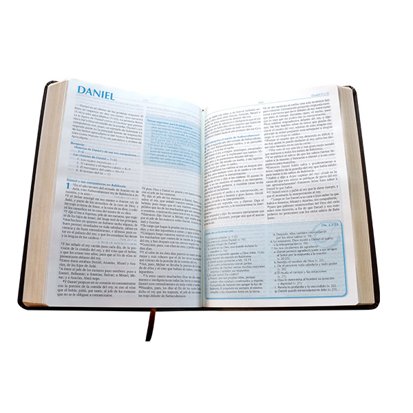 Biblia de Estudio para la Predicación Reina Valera 1960 Grande Letra Grande Imitación Piel Café [RVR085LG]