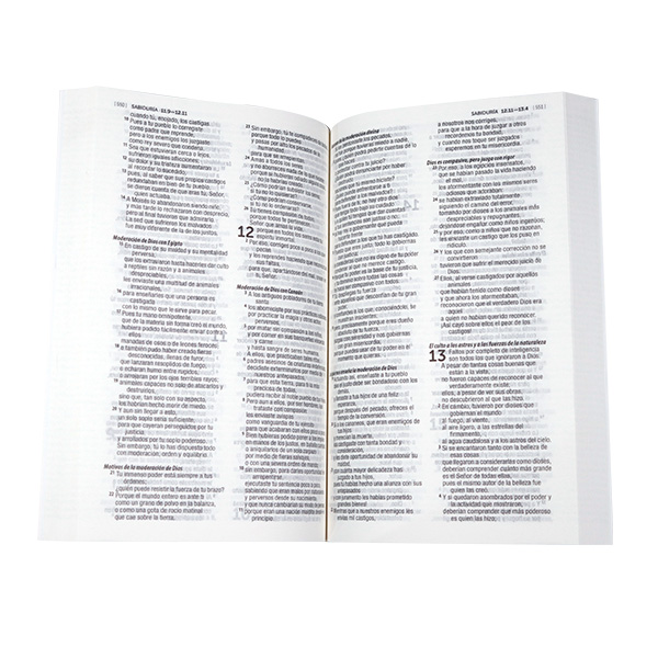 Biblia Misionera Dios Habla Hoy Mediana Letra Mediana Tapa Rústica Símbolos [DHH.60DKue] 