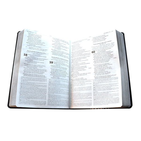 Biblia de Estudio Exégesis Reina Valera 1995 Grande Letra Mediana Imitación Piel Negro/Sello Plata [RVR95086cEELM] 