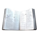 Biblia de Estudio Exégesis Reina Valera 1995 Grande Letra Mediana Imitación Piel Negro/Sello Plata [RVR95086cEELM] 