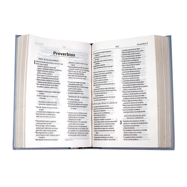 Biblia Dios Habla Hoy Chica Letra Mediana Tapa Dura Gris Pastor [DHH043:CZ] 