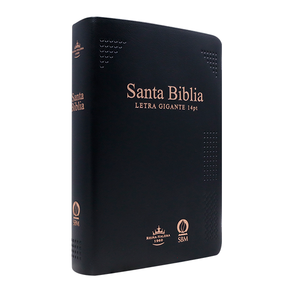 Biblia Reina Valera 1960 Mediana Letra Gigante Vinil Negro Canto Cobre Afinidad  RVR062cLGiPJR-MEX