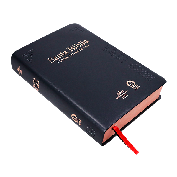 Biblia Reina Valera 1960 Mediana Letra Gigante Vinil Negro Canto Cobre Afinidad  RVR062cLGiPJR-MEX