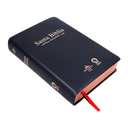 Biblia Reina Valera 1960 Mediana Letra Gigante Vinil Negro Canto Cobre Afinidad  RVR062cLGiPJR-MEX