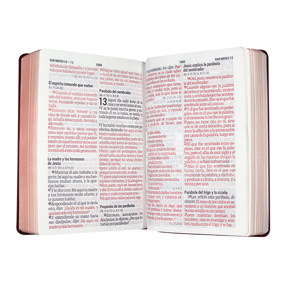 Biblia Reina Valera 1960 Mediana Letra Gigante Vinil Vino Canto Cobre Afinidad  RVR062cLGiPJR-MEX