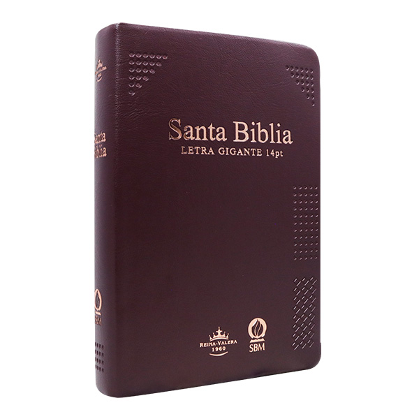 Biblia Reina Valera 1960 Mediana Letra Gigante Vinil Vino Canto Cobre Afinidad  RVR062cLGiPJR-MEX