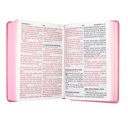 Biblia Reina Valera 1960 Mediana Letra Gigante Vinil Rosa Canto Cobre Afinidad  RVR062cLGiPJR-MEX